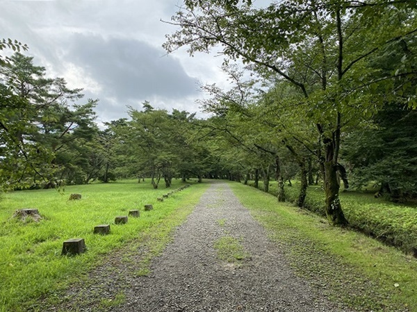 f:id:a-map:20211127113108j:plain