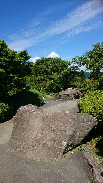 f:id:a-matsuno0503:20170729174801j:image f:id:a-matsuno0503:20170729174801j:image