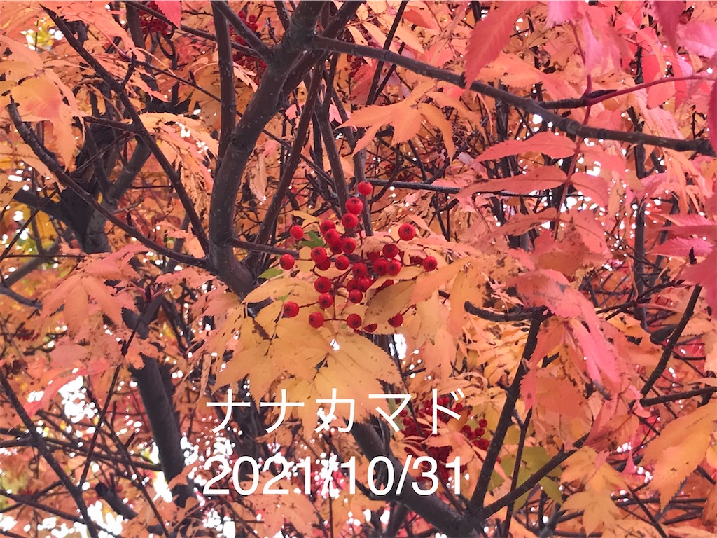 f:id:a-monndosaya:20211105074254j:image f:id:a-monndosaya:20211105074254j:image