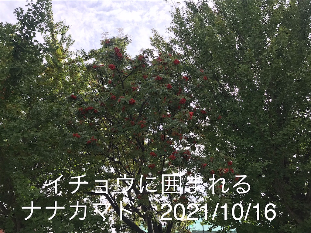 f:id:a-monndosaya:20211105074311j:image f:id:a-monndosaya:20211105074311j:image
