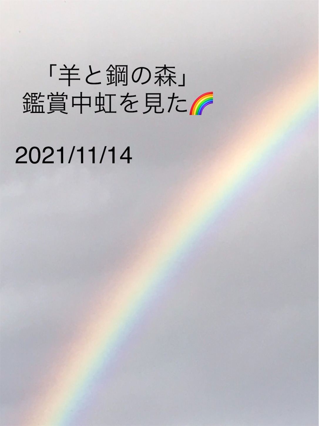 f:id:a-monndosaya:20211114201327j:plain