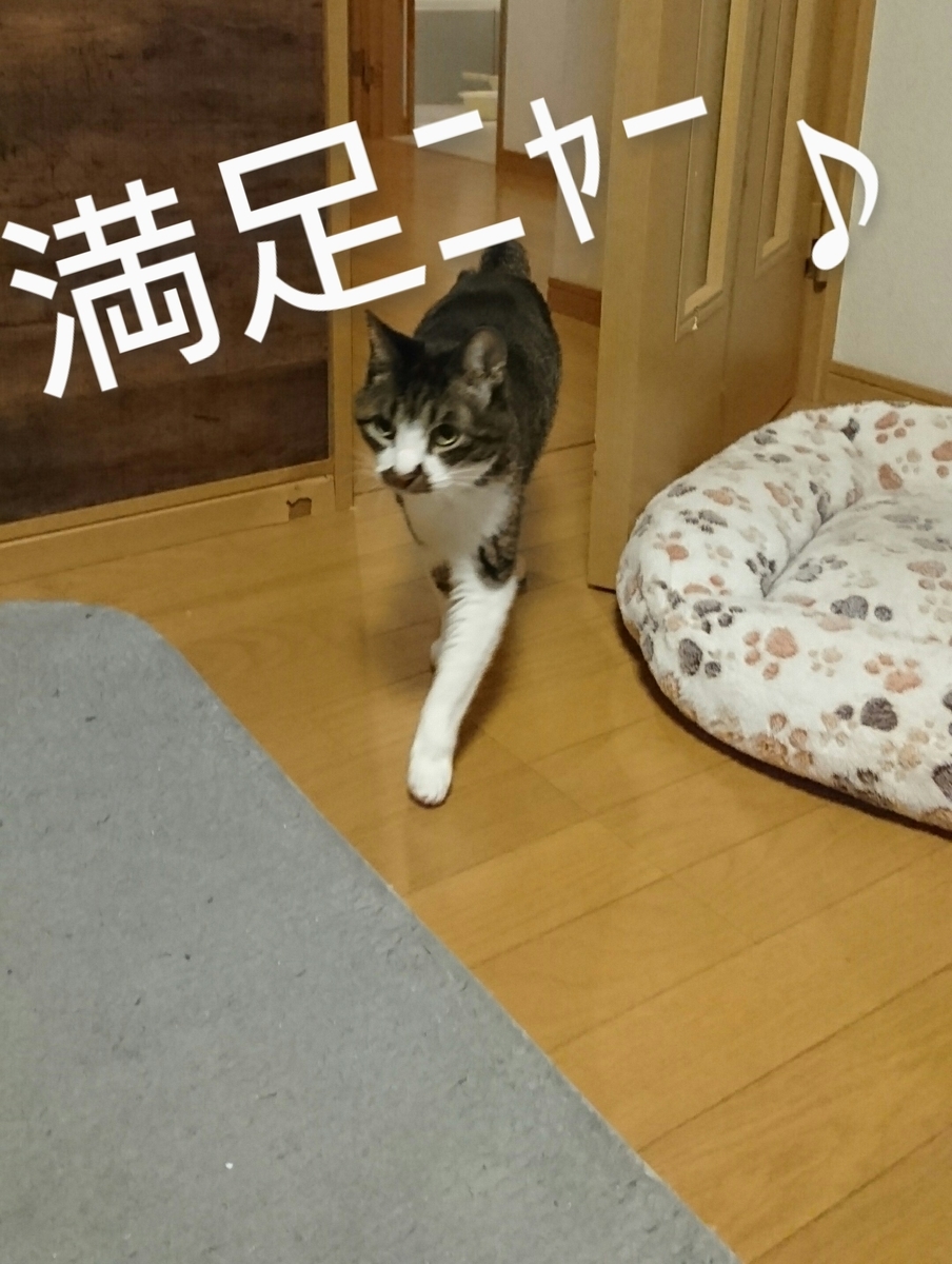 f:id:a-n-e-mone:20210126195815j:plain