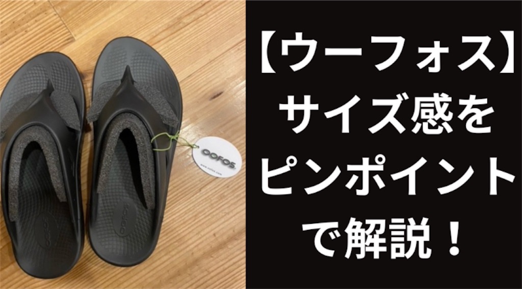 f:id:a-nakagawa:20240817082453j:image