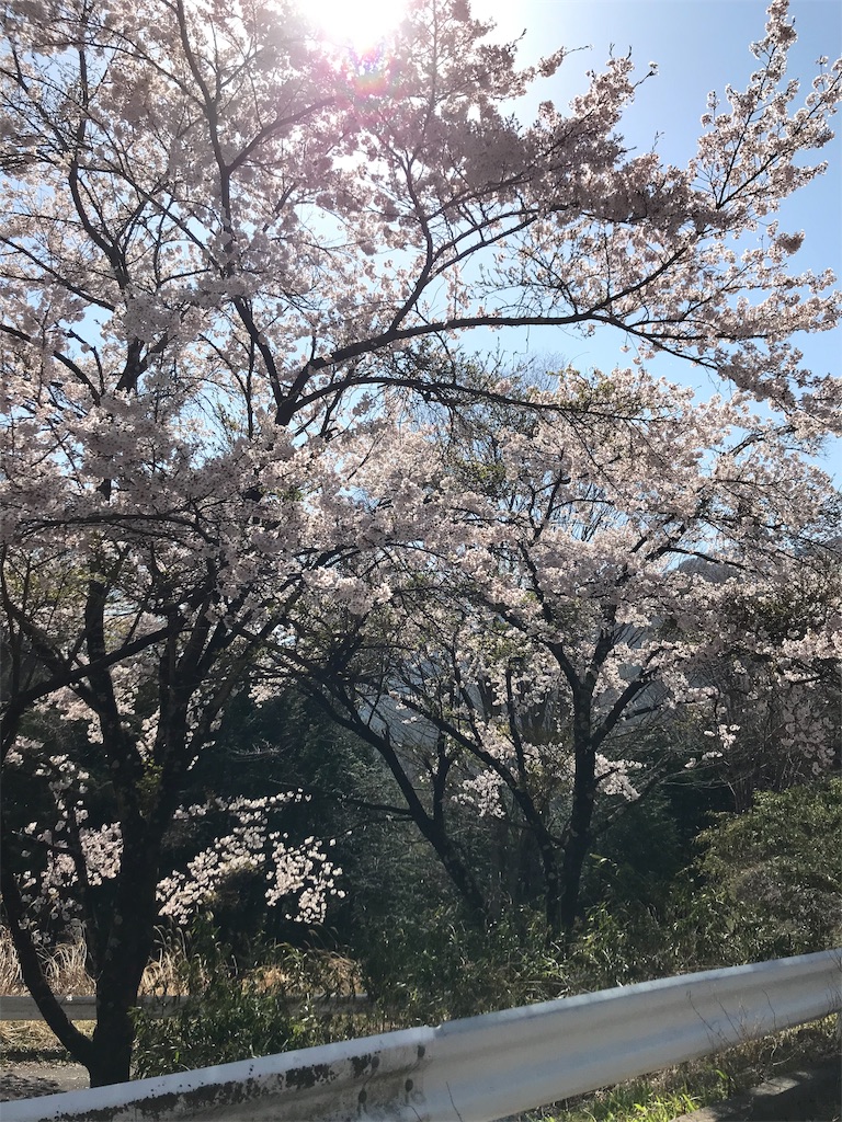 f:id:a-nash:20190501224118j:image