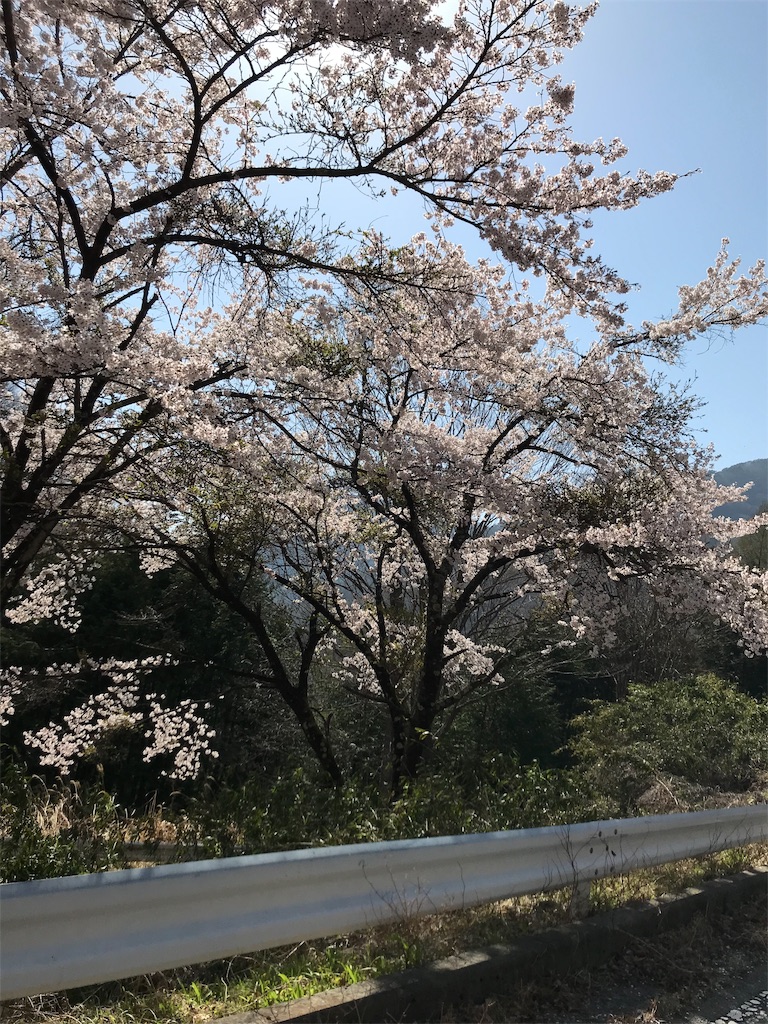 f:id:a-nash:20190501224121j:image