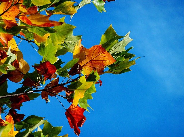 f:id:a-netfarm:20201104055226j:plain f:id:a-netfarm:20201104055226j:plain