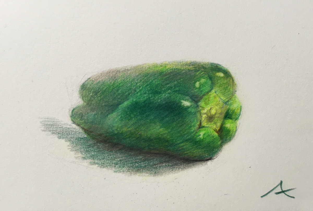 色鉛筆でピーマンを描いてみた - ニシナのエブリディ絵ブログ