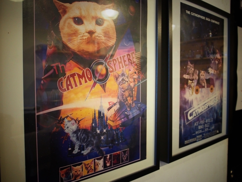チェンマイにある猫カフェ、キャトマスフィア（Catmosphere）の店内に飾られているポスター