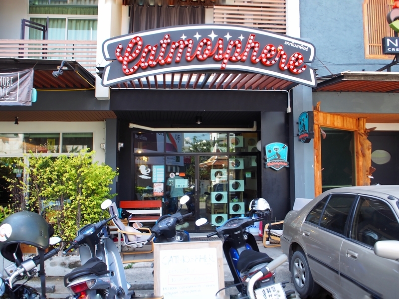 チェンマイにある猫カフェ、キャトマスフィア（Catmosphere）の入口