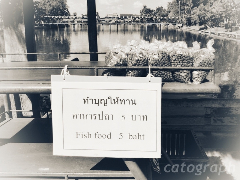 スコータイのワット・トラバン・トーン・ラーン周辺の池で売っているタンブン用の魚のえさ
