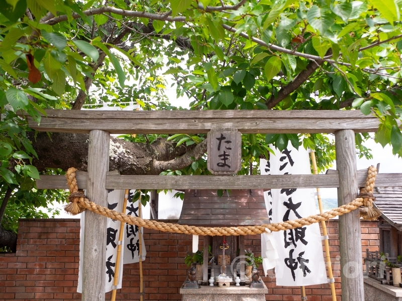 和歌山電鐵の喜志駅にあるたま神社