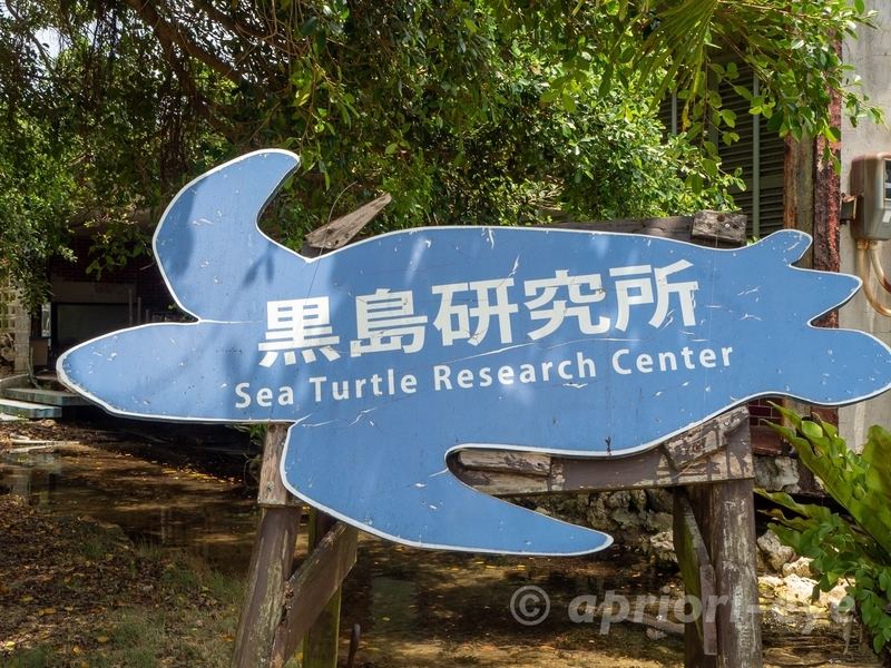 ウミガメの形をした黒島研究所の看板