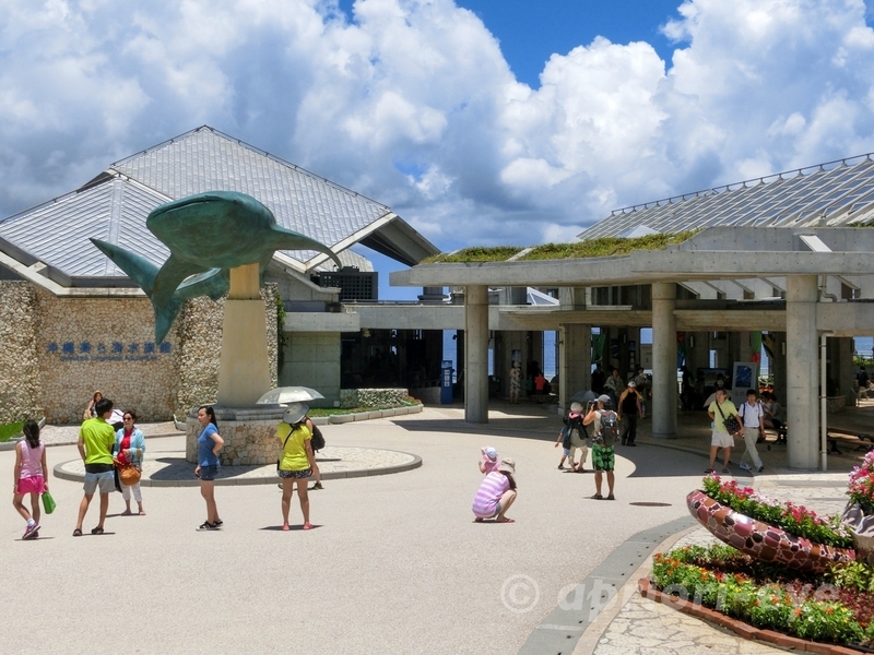 沖縄県にある美ら海水族館