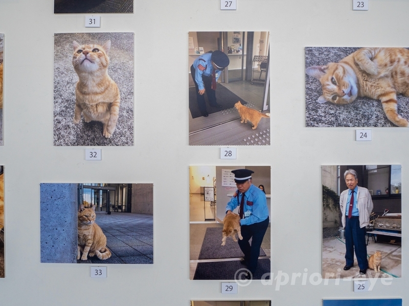 尾道市立美術館での警備員とゴッちゃんの攻防