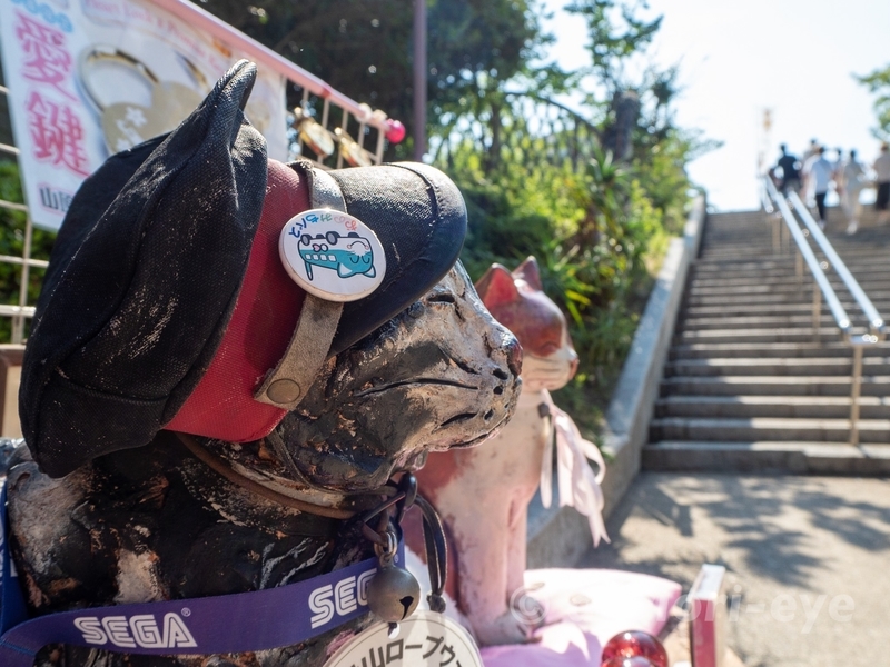 千光寺山ロープウェイの駅長である猫の恋会門（こいえもん）の横顔