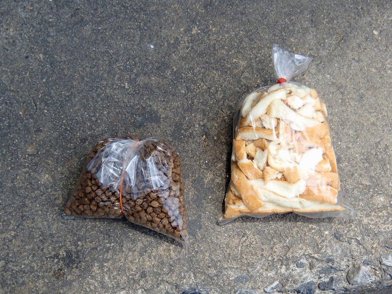 タンブン用の魚や鳥のえさ