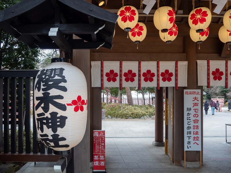 大きな提灯がぶら下がっている櫻木神社の入口