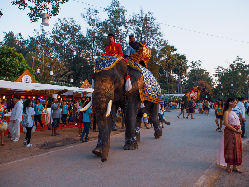 スコータイ遺跡公園のロイクラトン祭りの会場内を歩く象