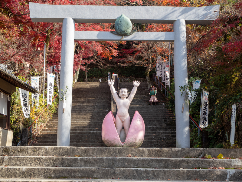 犬山市にある桃太郎神社の鳥居。鳥居の前では桃から生まれた桃太郎が万歳をしている人形がある