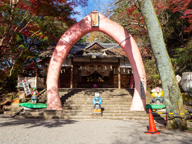 犬山市にある桃太郎神社にある芽の輪。しめ縄の代わりにピンク色の桃の形をしたモニュメントが設置されている