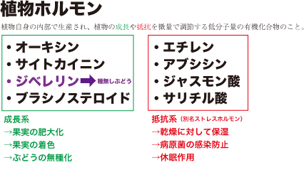 f:id:a-ruta:20190411142907j:plain f:id:a-ruta:20190411142907j:plain