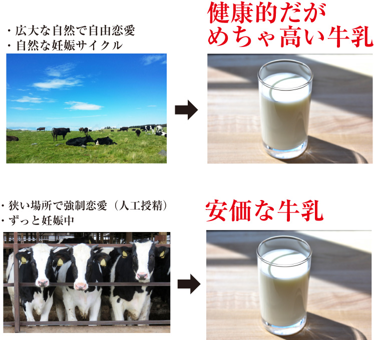 f:id:a-ruta:20190926163814j:plain f:id:a-ruta:20190926163814j:plain