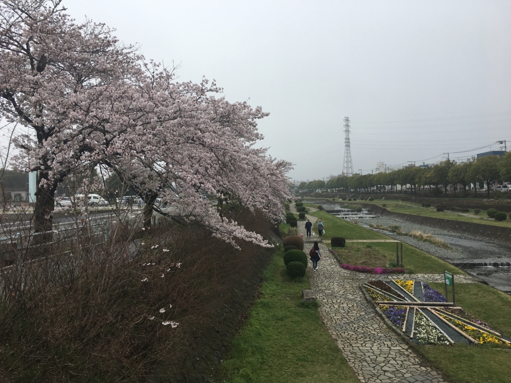 f:id:a-s-a-p-31-mtnb:20170410145240j:plain f:id:a-s-a-p-31-mtnb:20170410145240j:plain