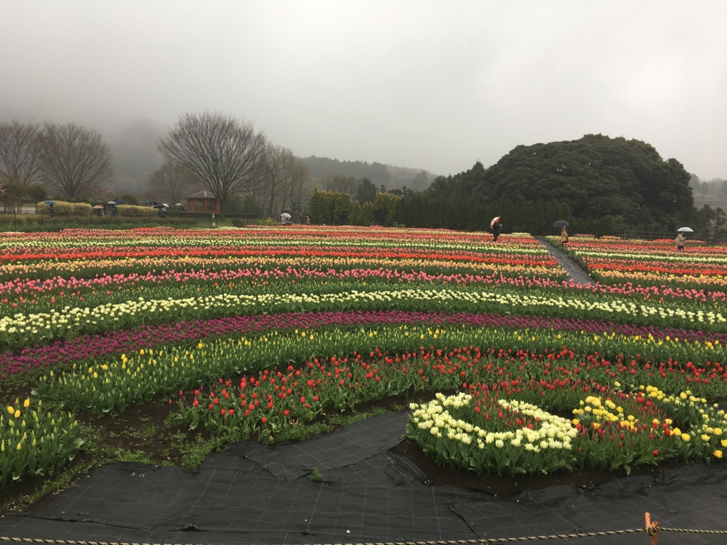 f:id:a-s-a-p-31-mtnb:20170410145525j:plain f:id:a-s-a-p-31-mtnb:20170410145525j:plain