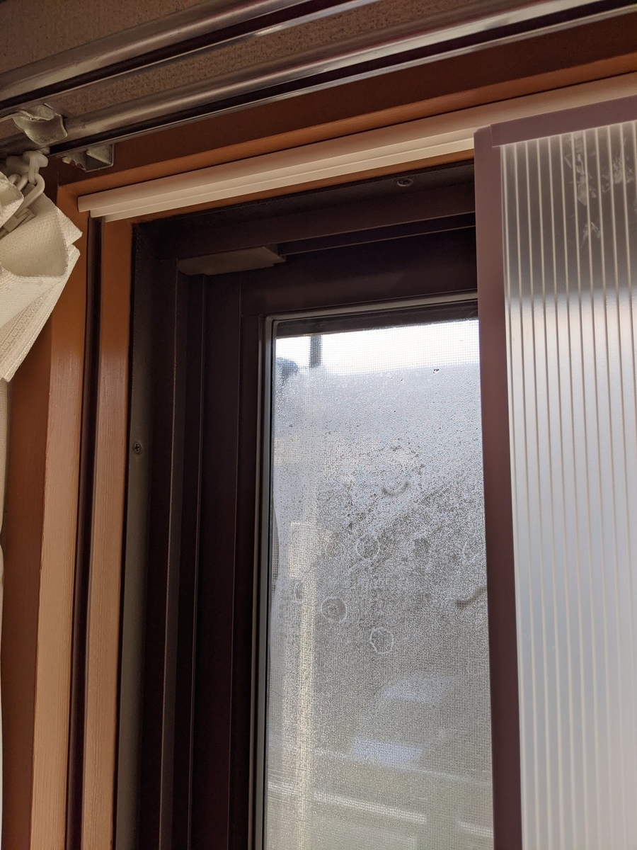 f:id:a-schiebe:20210102233525j:plain
