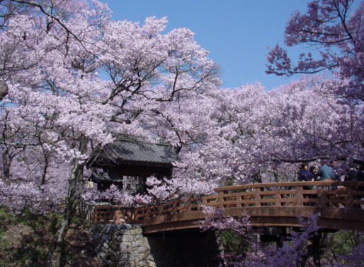 高遠城址公園