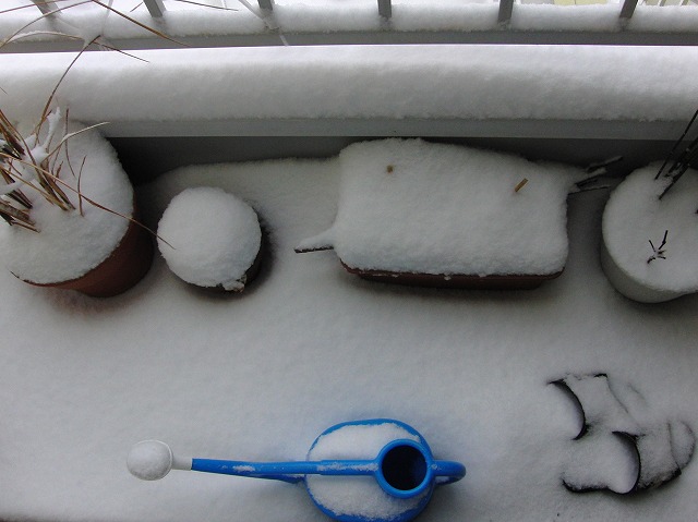 露台も積雪