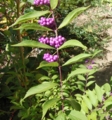 20140928141836