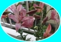 20170625140735