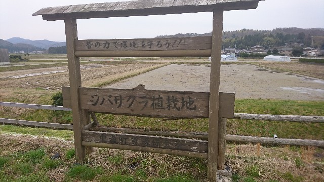 f:id:a-tnk0806:20190331193339j:image