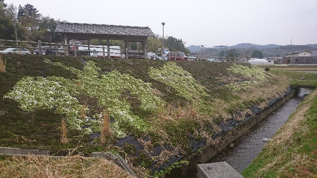 f:id:a-tnk0806:20190331193358j:image