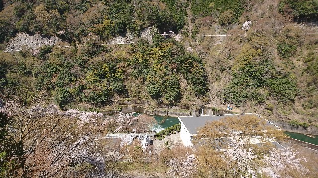 f:id:a-tnk0806:20190419061945j:image