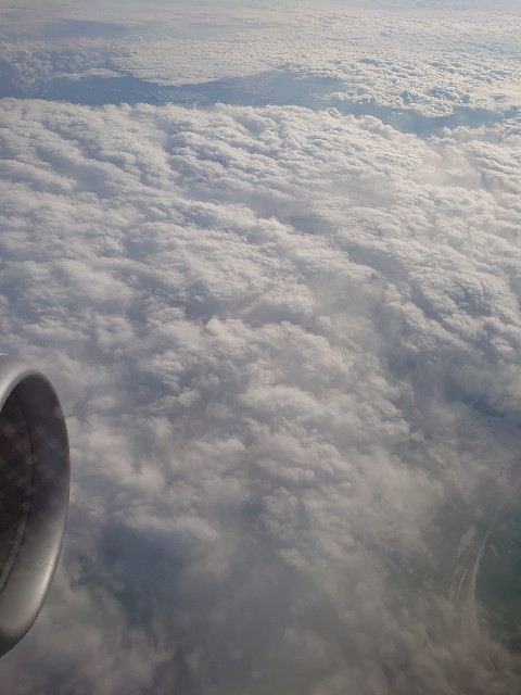 f:id:a-tnk0806:20200203204150j:image