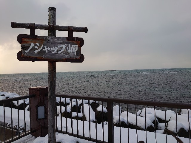 f:id:a-tnk0806:20200203204846j:image