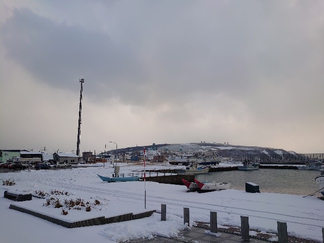 f:id:a-tnk0806:20200203204922j:image