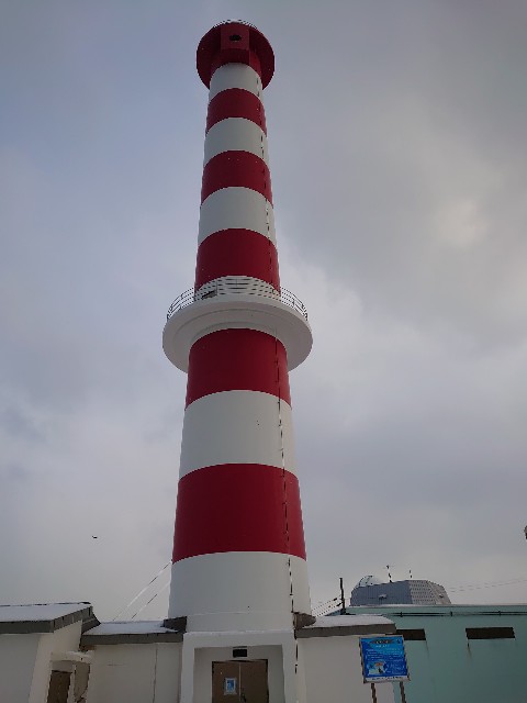 f:id:a-tnk0806:20200203205035j:image