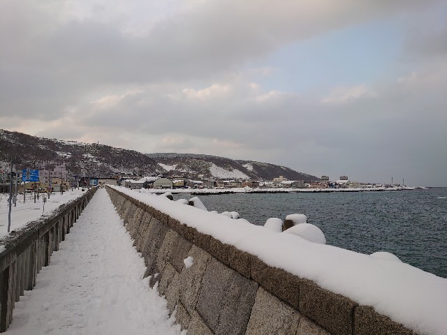 f:id:a-tnk0806:20200203205425j:image