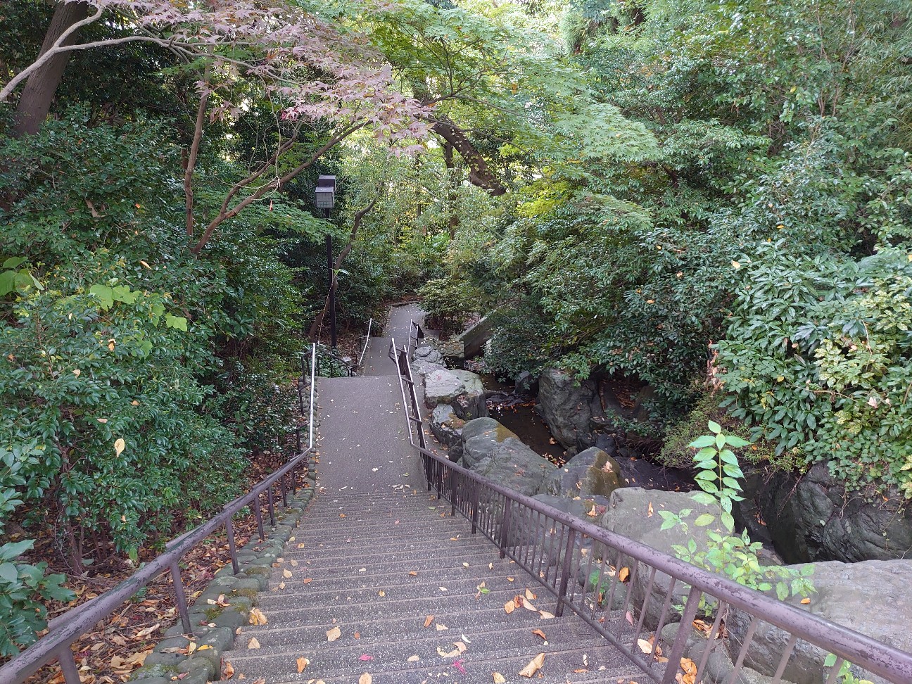 f:id:a-tnk0806:20201121081857j:image