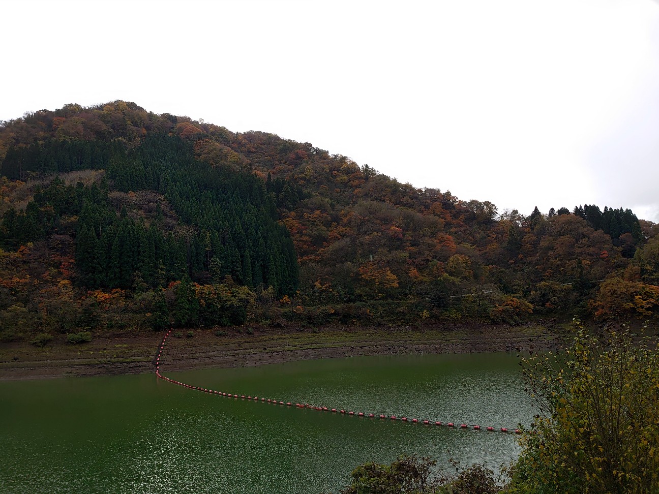f:id:a-tnk0806:20201121083127j:image