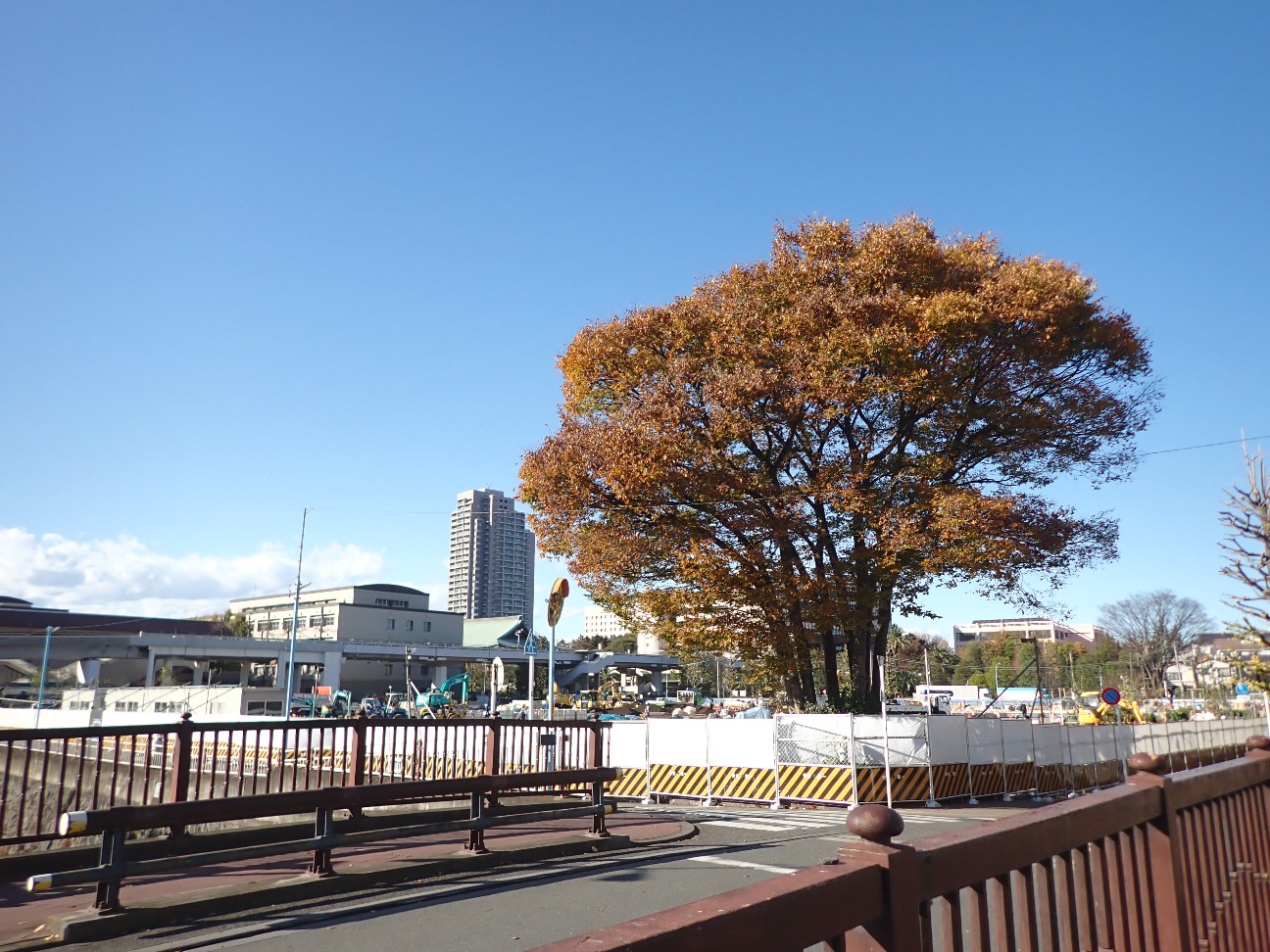 f:id:a-tnk0806:20201211225232j:image