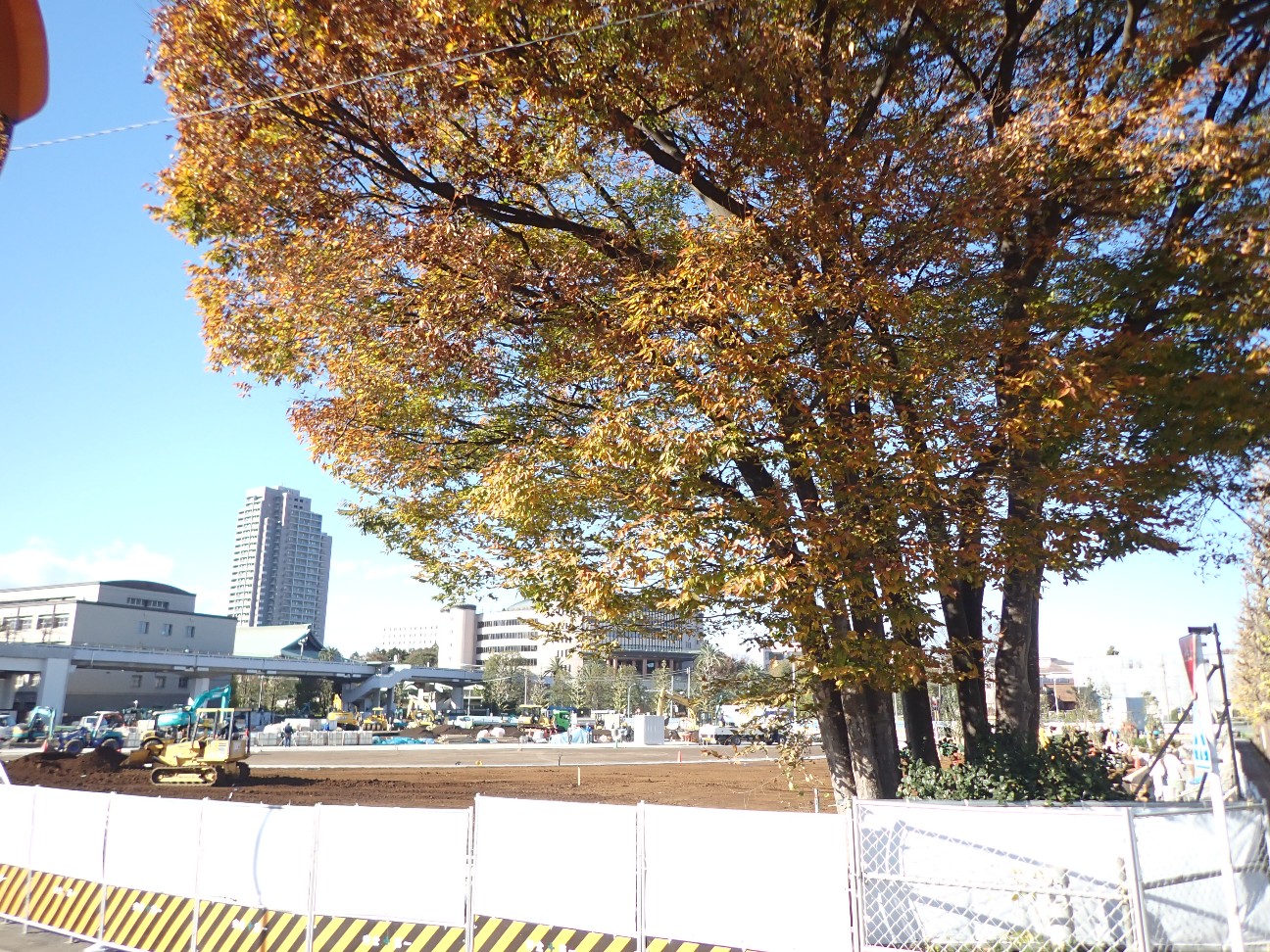 f:id:a-tnk0806:20201211225255j:image