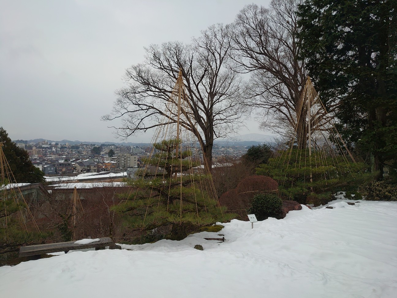 f:id:a-tnk0806:20210123061449j:image