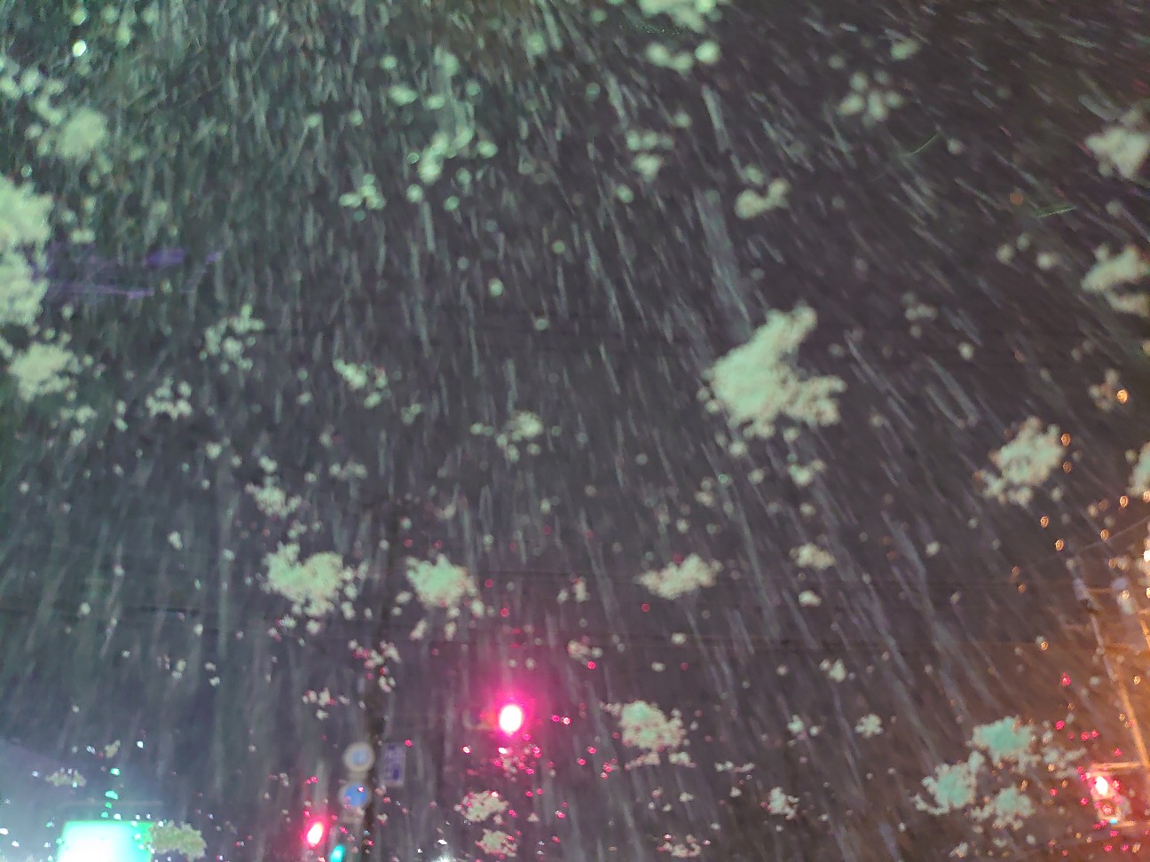 f:id:a-tnk0806:20210123061808j:image