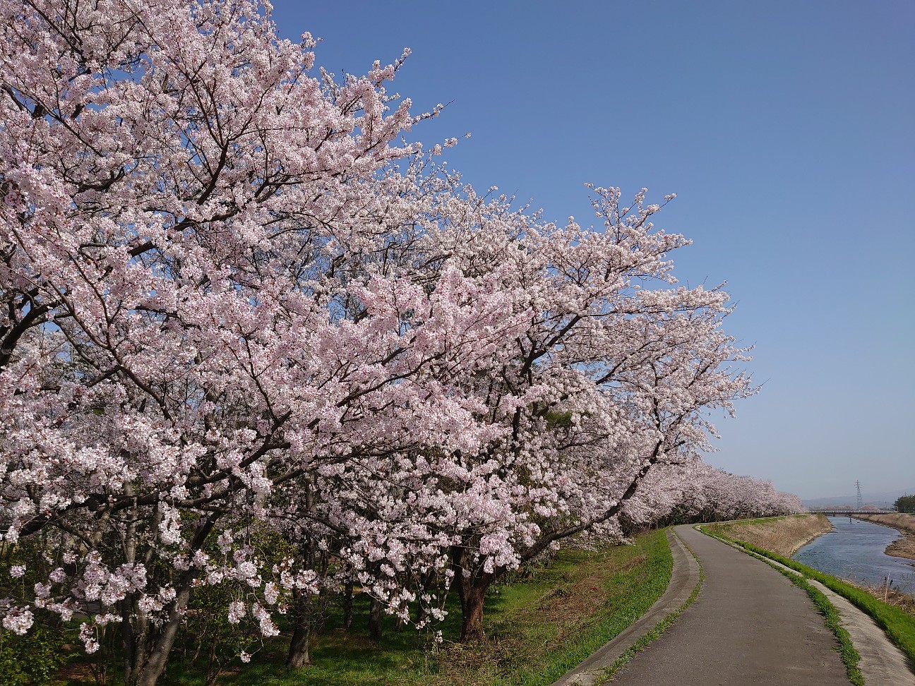 f:id:a-tnk0806:20210408231510j:image f:id:a-tnk0806:20210408231510j:image