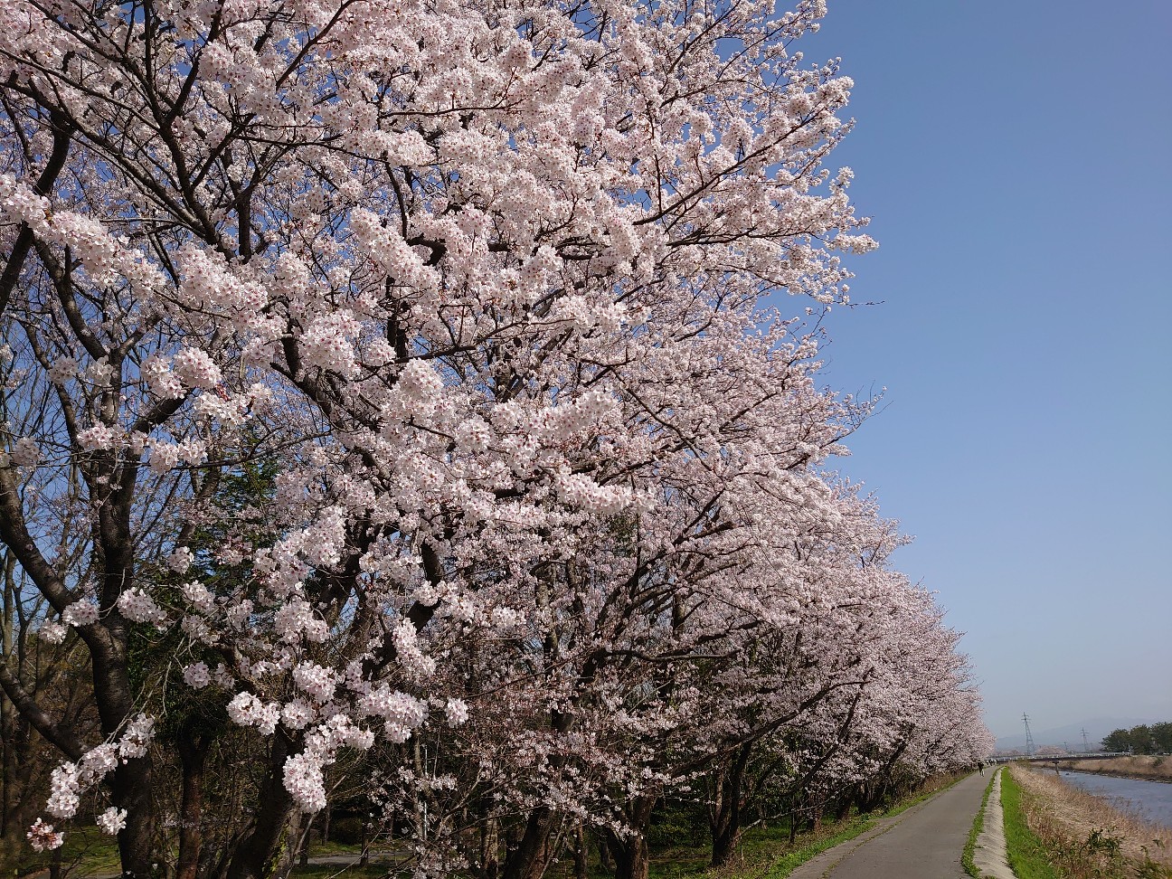 f:id:a-tnk0806:20210408231521j:image f:id:a-tnk0806:20210408231521j:image