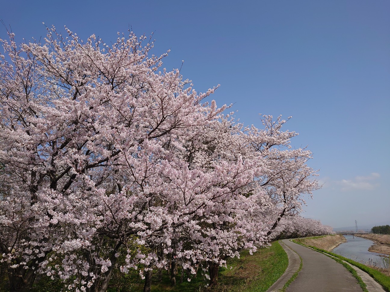 f:id:a-tnk0806:20210408231533j:image f:id:a-tnk0806:20210408231533j:image